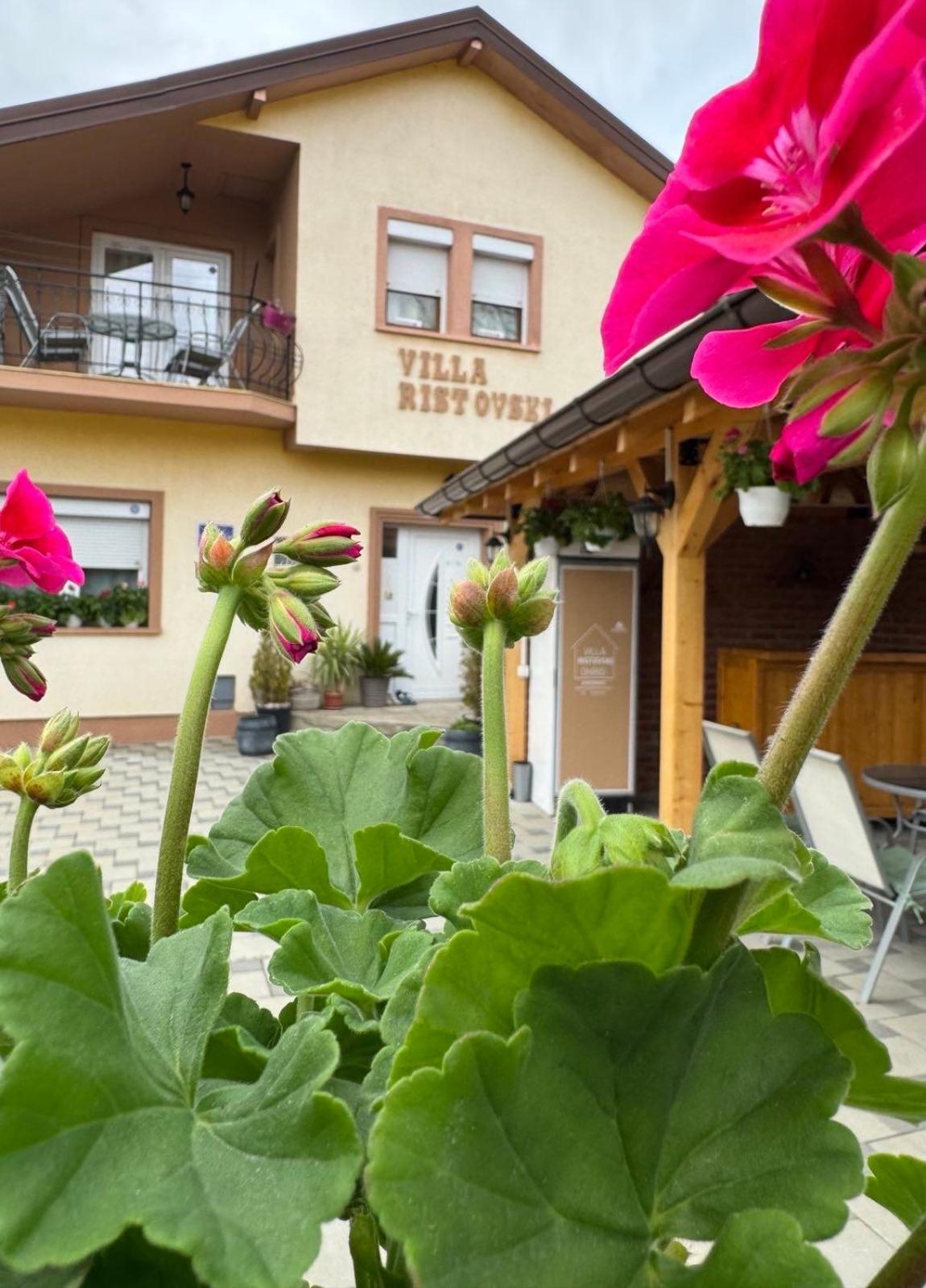 Villa Ristovski Ohrid Kültér fotó