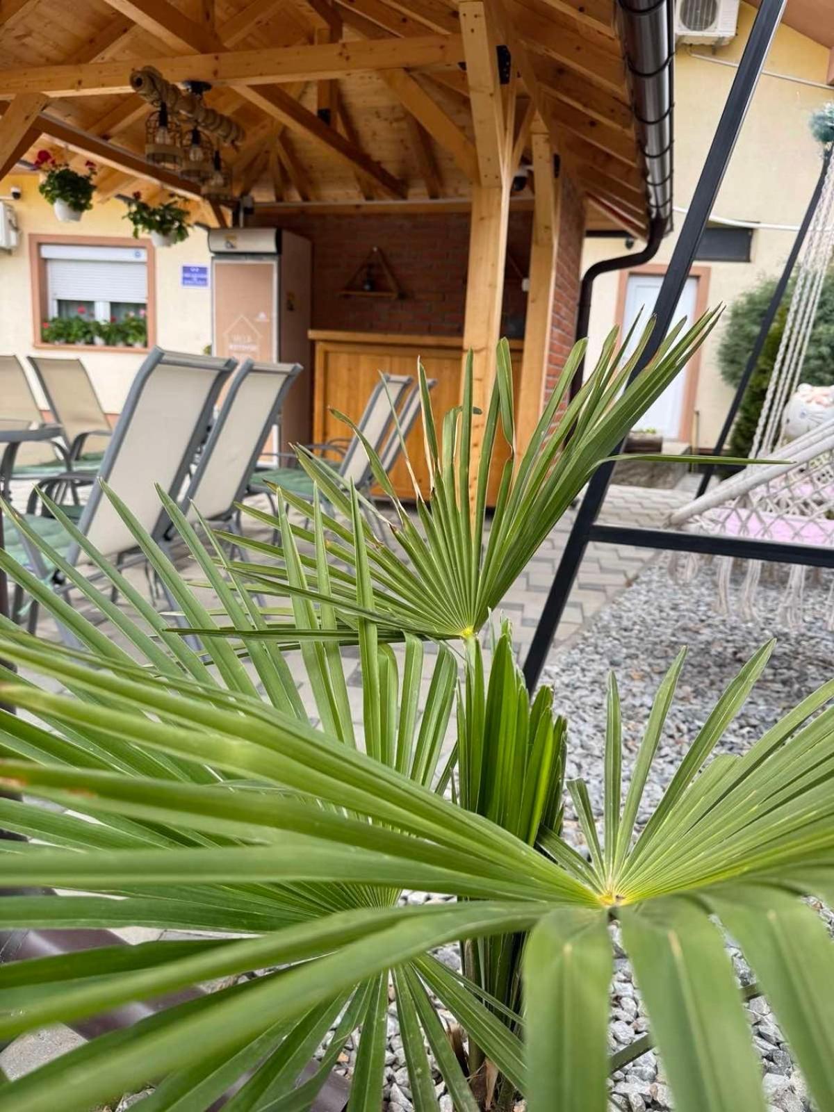 Villa Ristovski Ohrid Kültér fotó